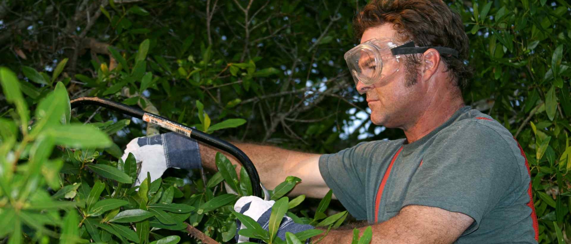 garden clearance IG3