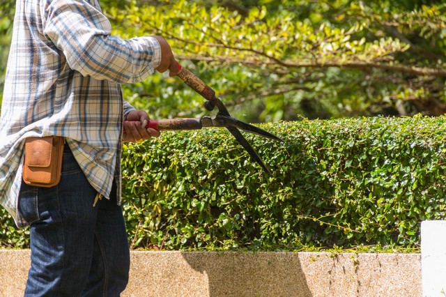 Garden Maintenance Seven Kings, Goodmayes, IG3